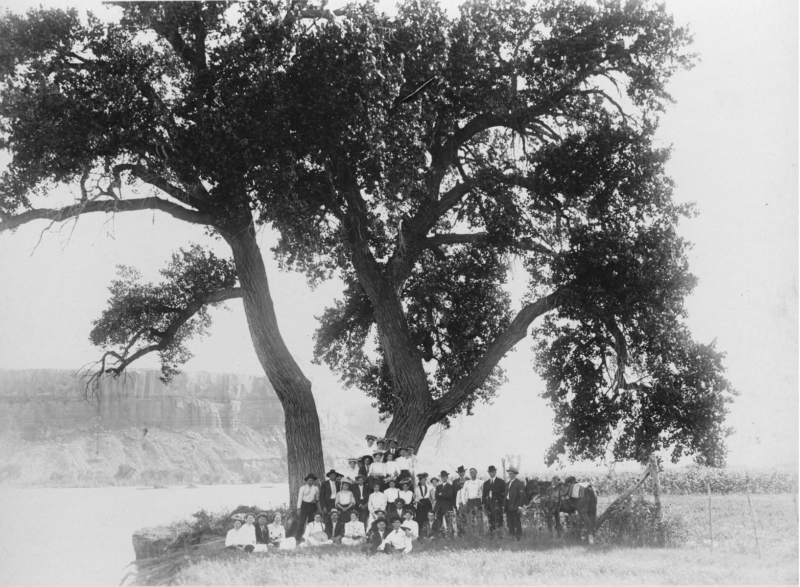 Meet under Bluff Swing Tree