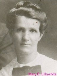 Mary Ellen Willden