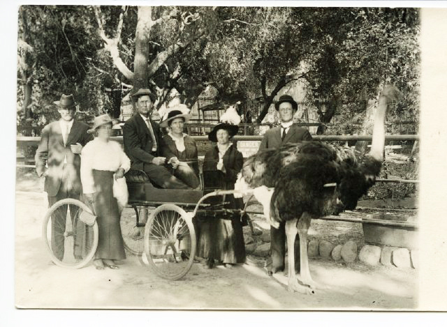 World's Fair